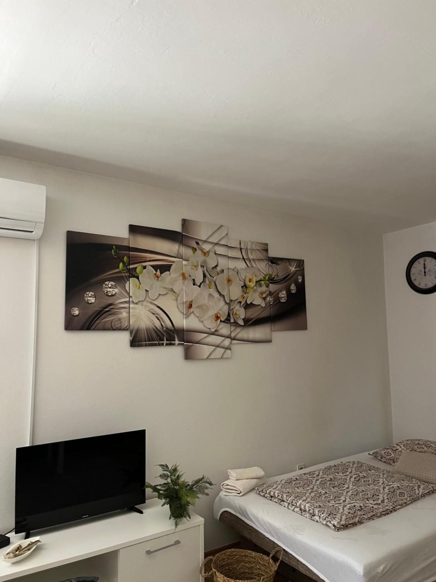 Apartman Reyan Яйце Экстерьер фото